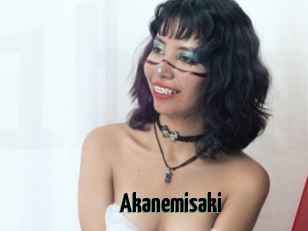 Akanemisaki