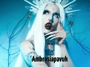 Ambrosiapavuk