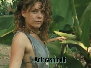 Aniccaspinelli