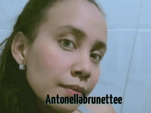 Antonellabrunettee