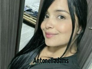 Antonelladams