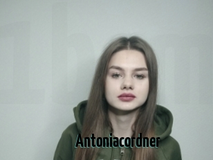 Antoniacordner