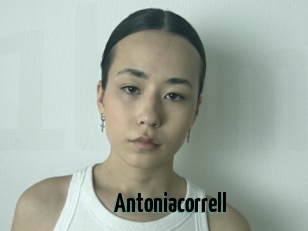 Antoniacorrell