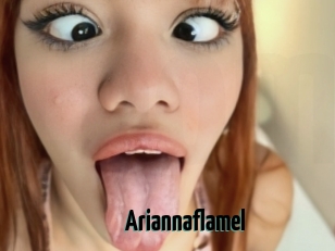 Ariannaflamel