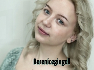 Berenicegingell