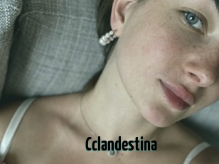 Cclandestina