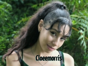 Cloeemorris