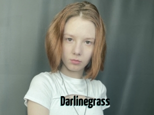 Darlinegrass