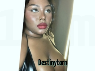 Destinytorn