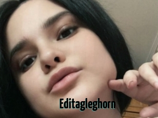 Editagleghorn