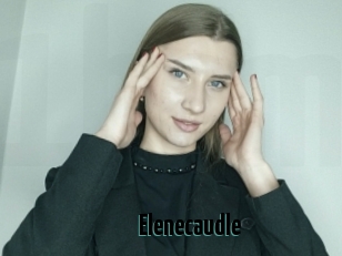 Elenecaudle