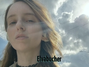 Elvabucher