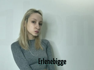 Erlenebigge