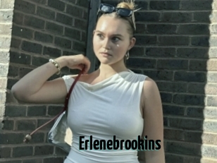 Erlenebrookins