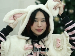 Evelane