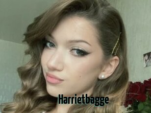 Harrietbagge