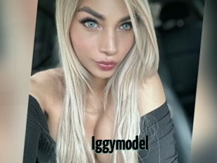 Iggymodel