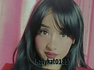 Katykat018b