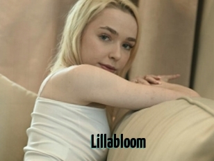 Lillabloom