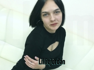 Lilliejordan