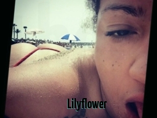 Lilyflower