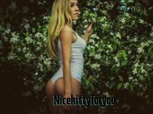 Nicekittyforyou