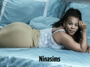 Ninasims