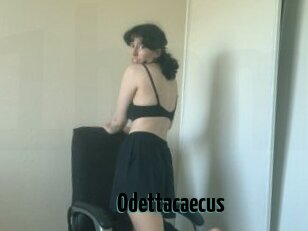 Odettacaecus