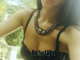 PerfectXPvt_