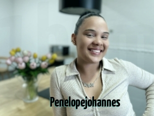 Penelopejohannes