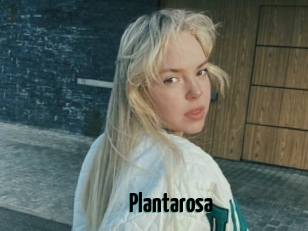 Plantarosa