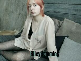 RileyHamming