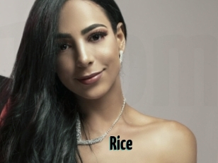 Rice