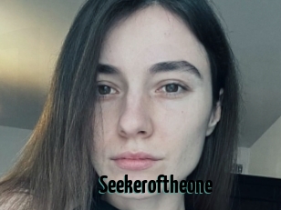 Seekeroftheone