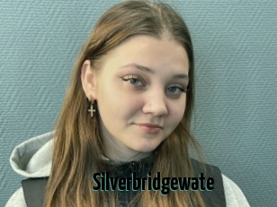 Silverbridgewate