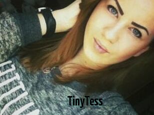 TinyTess