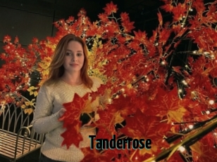 Tanderrose