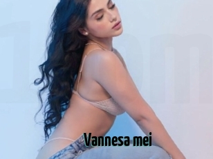 Vannesa_mei