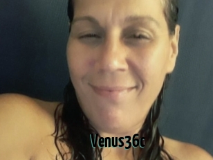 Venus36c