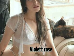 Violett_rose