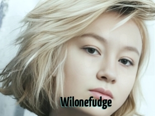 Wilonefudge