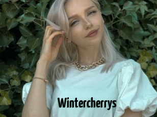 Wintercherrys