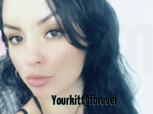 Yourkittyforever