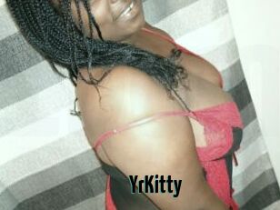 YrKitty